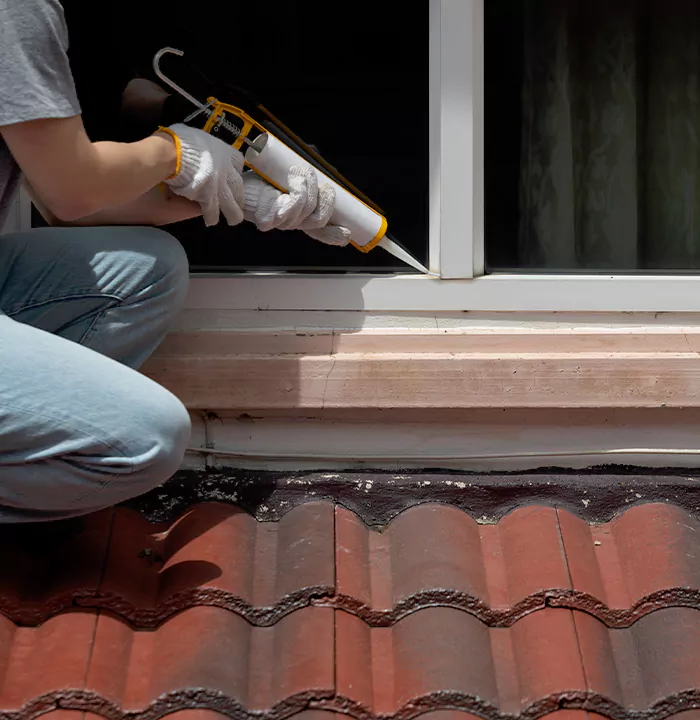 Roof Window Services in North Fort Myers, Florida