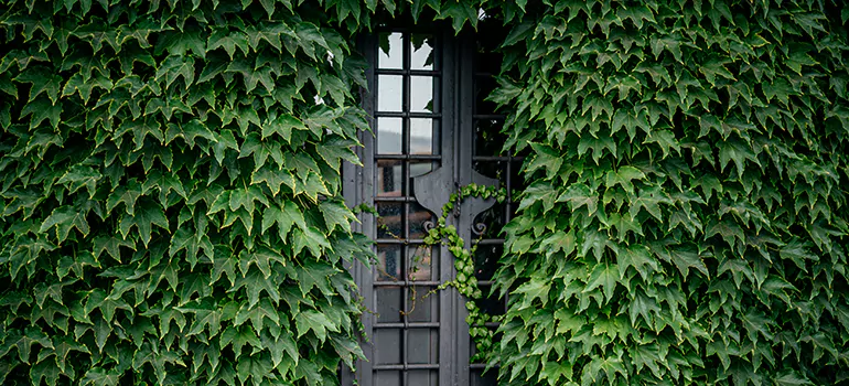 Garden Gate Repair in North Fort Myers, FL