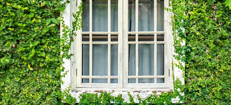 Garden Window Repair Near Me in North Fort Myers, FL
