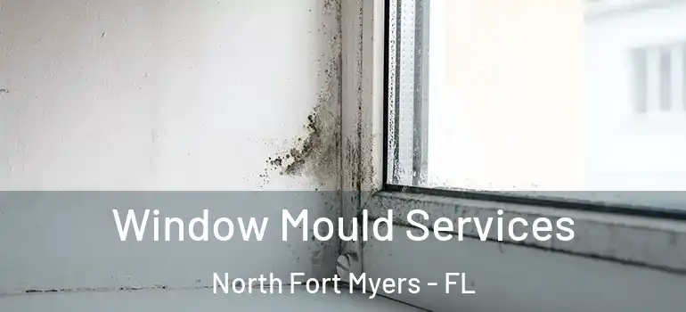 Window Mould Services North Fort Myers - FL